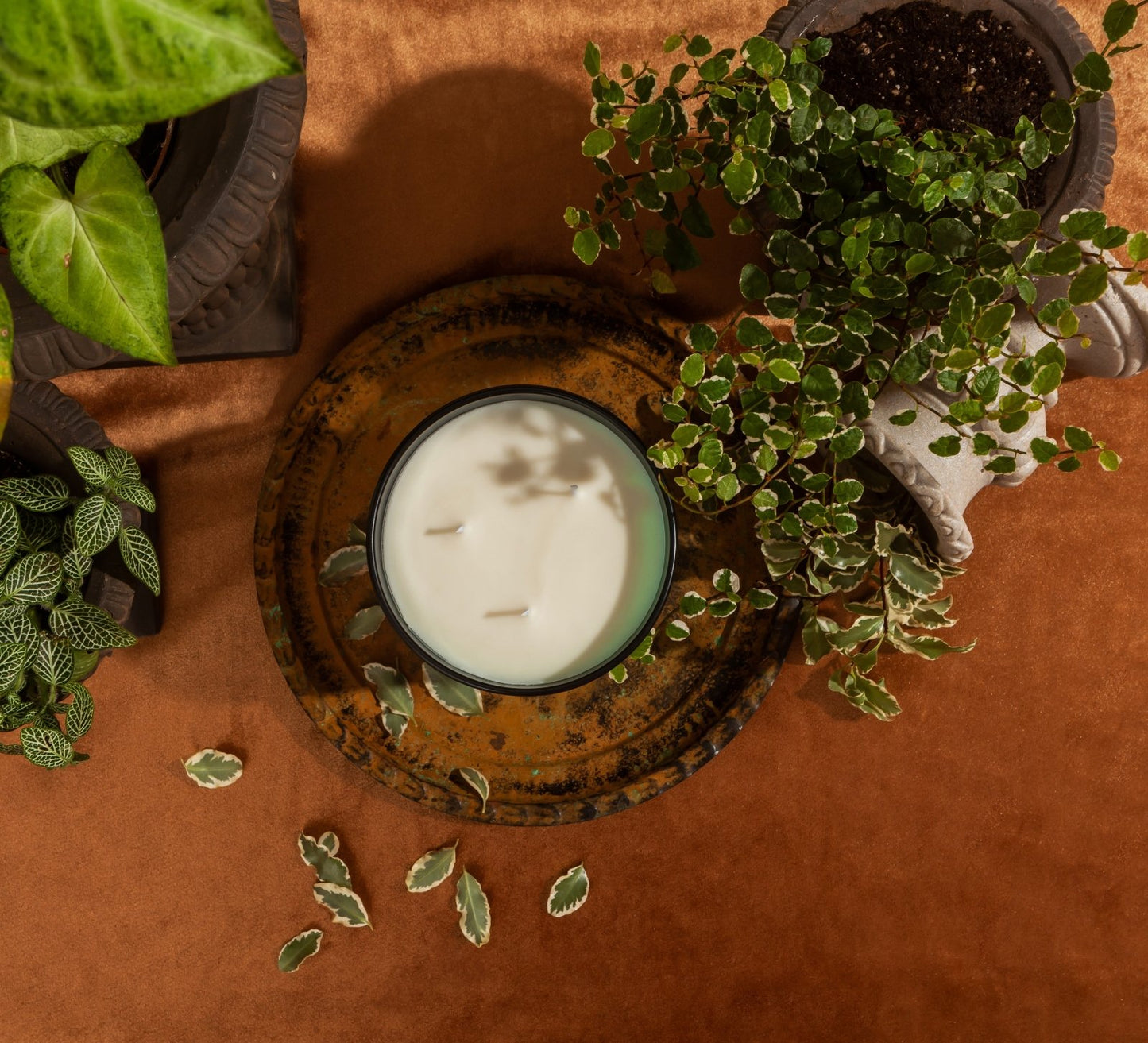 Castelbel-Tiles-Green-Sencha-Three-Wick-Candle